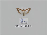 藏品(螟蛾285)的圖片